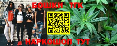 прущие грибы Лесосибирск