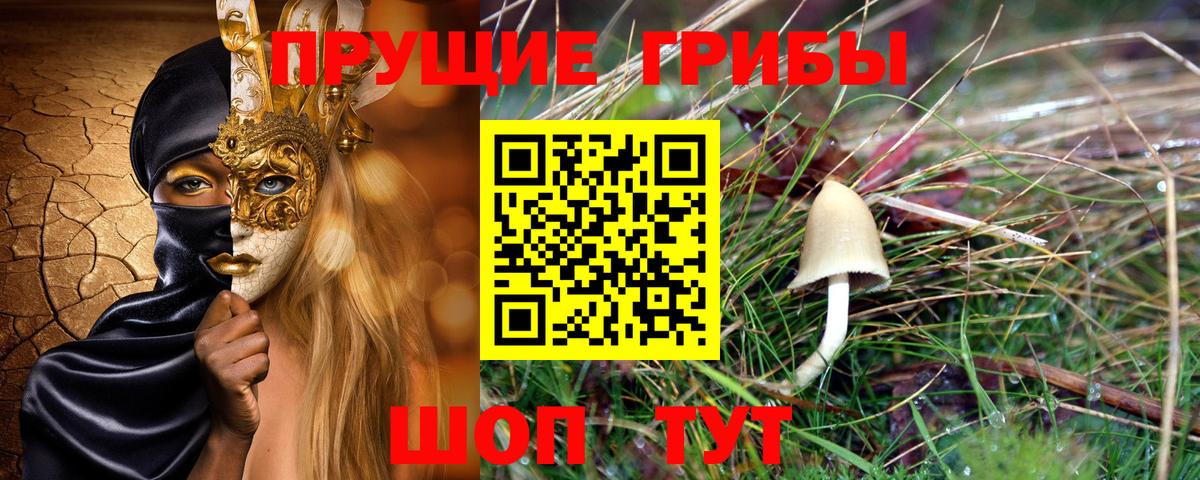 Галлюциногенные грибы Cubensis Кимовск