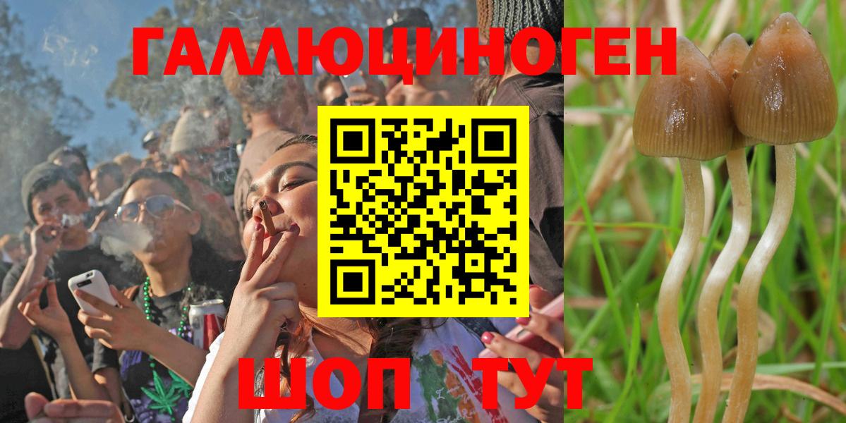 Кимовск  Псилоцибиновые грибы GOLDEN TEACHER  Вход с VPN  Галлюциногенные грибы ЛСД 